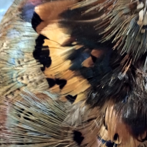 Vintage Pheasant Feather Hat Pill Box 1940's Sophisticated Charming Classy Cap - Picture 2 of 14